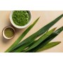 PANDAN FLAVOUR