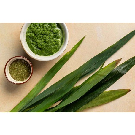 PANDAN FLAVOUR